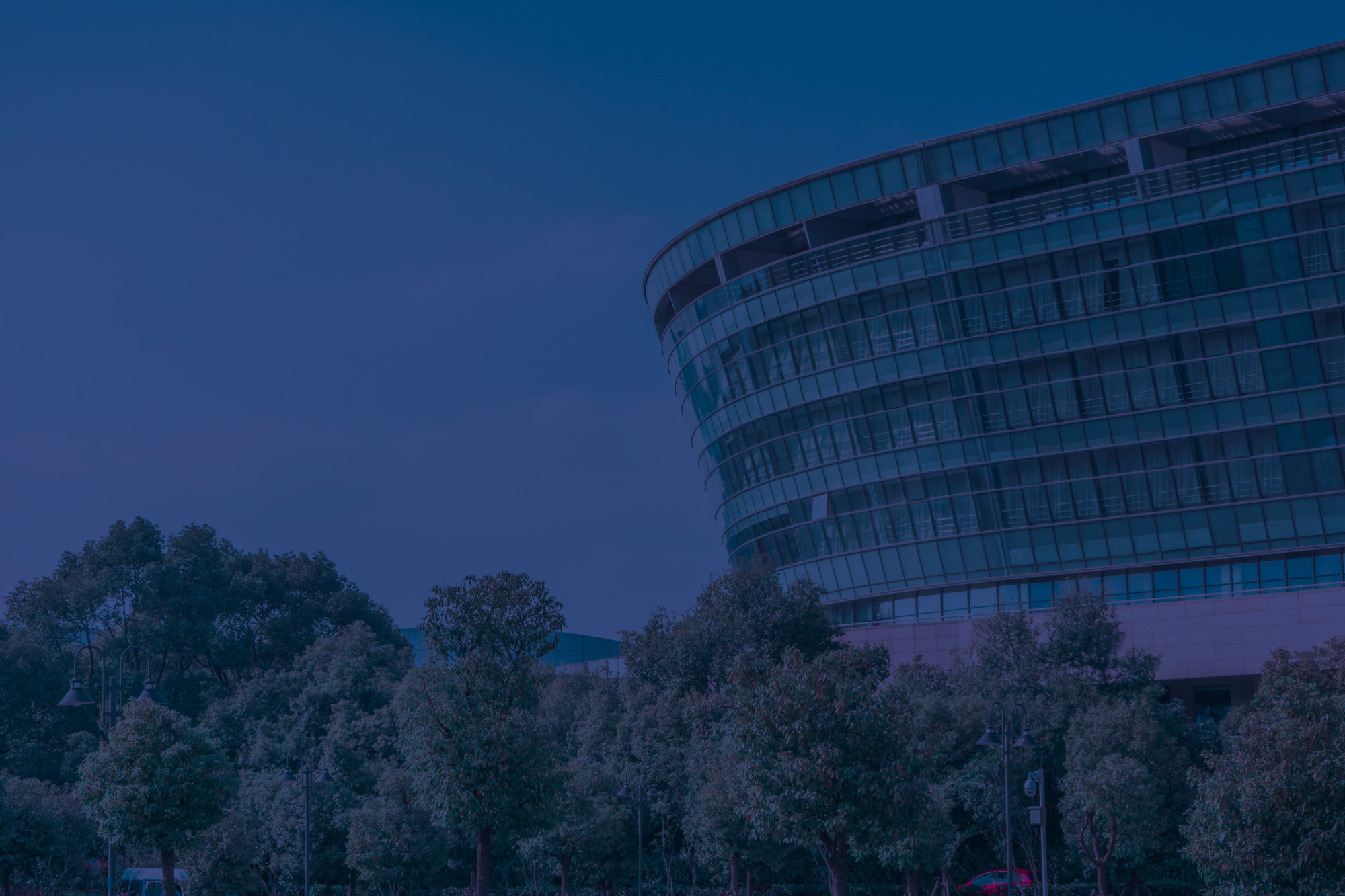 servizi aziende partner